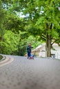 Little boy riding scooter in city park in aummer. Kids sports outdoors. Happy child playing with his scooter. Kid learn to ride Royalty Free Stock Photo