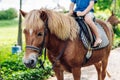 Little boy riding small horse. Summer mood bright nature. Hotel park near sea. Communication with animals Royalty Free Stock Photo