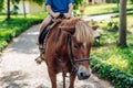 Little boy riding small horse. Summer mood bright nature. Hotel park near sea. Communication with animals Royalty Free Stock Photo