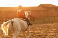 little boy is riding a white horse. Royalty Free Stock Photo