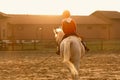little boy is riding a white horse. Royalty Free Stock Photo