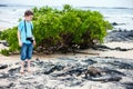 Little boy at rocky coast Royalty Free Stock Photo