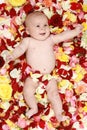 Little boy in rose petals Royalty Free Stock Photo