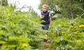 A little boy in rubber boots walks through a thicket of burdock and nettle. Countryside vacation concept Royalty Free Stock Photo