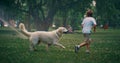 Little boy running cute dog. Cheerful golden retriever on sunny day in park Royalty Free Stock Photo