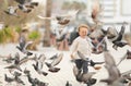 Little boy running near doves, chasing pigeons, happy child with smiling face. Kid is feeding pigeons in city park Royalty Free Stock Photo