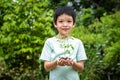 The little boy\'s hands are holding a small tree. Asian boy holding a seedling in hand. The boy is smiling and staring at the Royalty Free Stock Photo