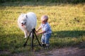 Little boy with Samoyed messing around, playing with tripod for camera on green meadow in the park Royalty Free Stock Photo