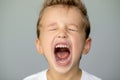 Little boy screams with closed eyes. Isolated young man on gray background opened his mouth wide Royalty Free Stock Photo