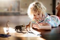 Little boy shadow drawing animals Royalty Free Stock Photo