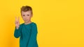 The little boy shows a gesture of victory with a calm, imperturbable expression on his face. Royalty Free Stock Photo