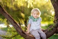 Little boy is sitting on a branch of big tree and is dreaming. Child`s games. Active family time on nature. Hiking with kids