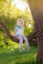 Little boy is sitting on a branch of big tree and is dreaming. Child`s games. Active family time on nature