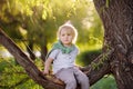 Little boy is sitting on a branch of tree and is dreaming. Child`s games. Active family time on nature. Hiking with little kids Royalty Free Stock Photo