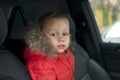 Little boy is sitting in the car Royalty Free Stock Photo