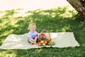 Little boy sitting on a mat having a picnic with a basket full of fruits. Royalty Free Stock Photo