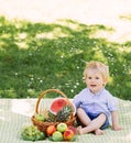 Little boy sitting on a mat having a picnic with a basket full o Royalty Free Stock Photo