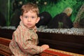 Little boy sitting near a large aquarium with fish and enjoying looking at them Royalty Free Stock Photo