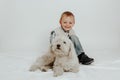 A little boy is sitting, playing with a white dog Royalty Free Stock Photo