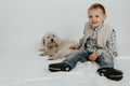 A little boy is sitting, playing with a white dog Royalty Free Stock Photo