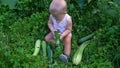 Little boy sitting with zucchini and shifts it