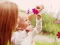 Little Boy Smelling Flower Royalty Free Stock Photo