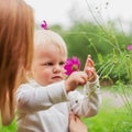 Little Boy Smelling Flower Royalty Free Stock Photo