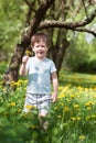 Little boy smile with dandelion. Spring Royalty Free Stock Photo