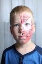 Little boy with spider web painted on the face Royalty Free Stock Photo