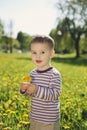 Little boy in spring dandelion meadow Royalty Free Stock Photo