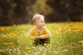 Little boy on the spring meadow Royalty Free Stock Photo