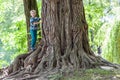 Little boy standing beside a big stump of an old tree. Happy chi Royalty Free Stock Photo