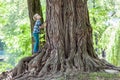 Little boy standing beside a big stump of an old tree. Happy chi Royalty Free Stock Photo