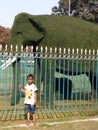 A LITTLE BOY STANDING IN FRONT OF ELEPHANT