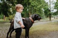 Little boy standing with his big dog in the park. Royalty Free Stock Photo