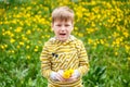 Little boy standing on the lawn dandelions