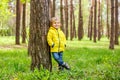 Little boy standing near the trunk of a pine in the park.
