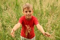 Little boy stands in high green grass Royalty Free Stock Photo
