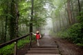 Little boy during stroll in foggy misterious park Royalty Free Stock Photo