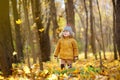 Little boy during stroll in the forest at cold sunny autumn day Royalty Free Stock Photo