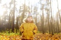 Little boy during stroll in the forest at cold sunny autumn day Royalty Free Stock Photo