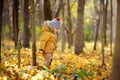 Little boy during stroll in the forest at cold sunny autumn day Royalty Free Stock Photo