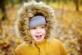 Little boy during stroll in the forest at cold sunny autumn day Royalty Free Stock Photo
