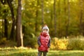 Little boy during stroll in the forest at sunny autumn day Royalty Free Stock Photo