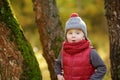 Little boy during stroll in the forest at sunny autumn day Royalty Free Stock Photo