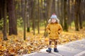 Little boy during stroll in a public park at cold sunny autumn day Royalty Free Stock Photo