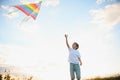 Little boy on summer vacation having fun and happy time flying kite on the field. Royalty Free Stock Photo