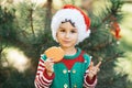 Little boy in sweater and hat waiting for a Christmas in the wood Royalty Free Stock Photo