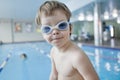Little boy swimmer Royalty Free Stock Photo