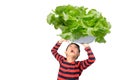 Little boy taking huge big bowl of vegetable over his head on white background Royalty Free Stock Photo